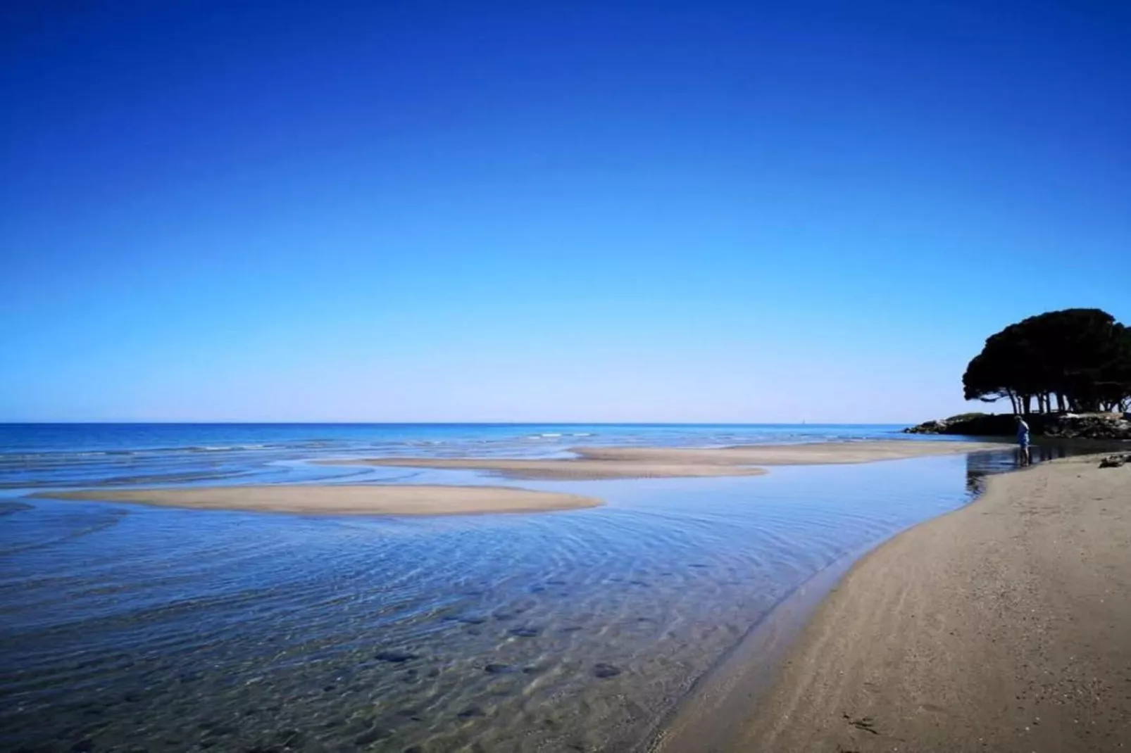 Indigo-Gebieden zomer 1km
