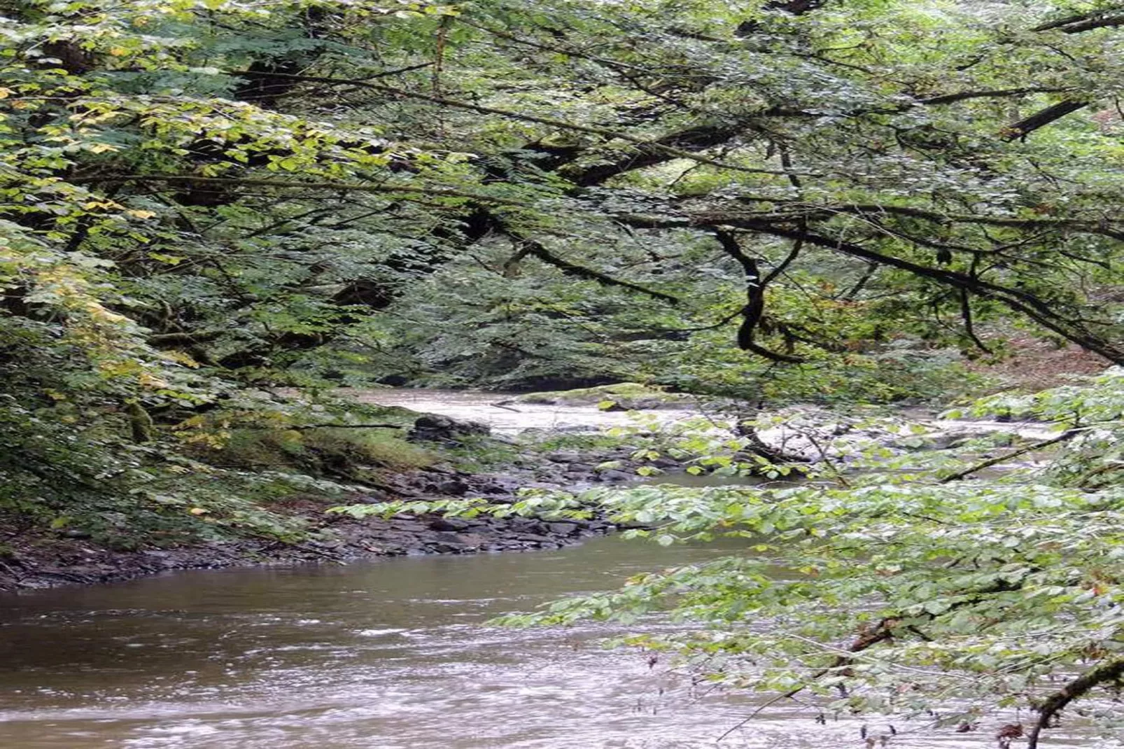 Le Haut Chambon-Gebieden zomer 20km