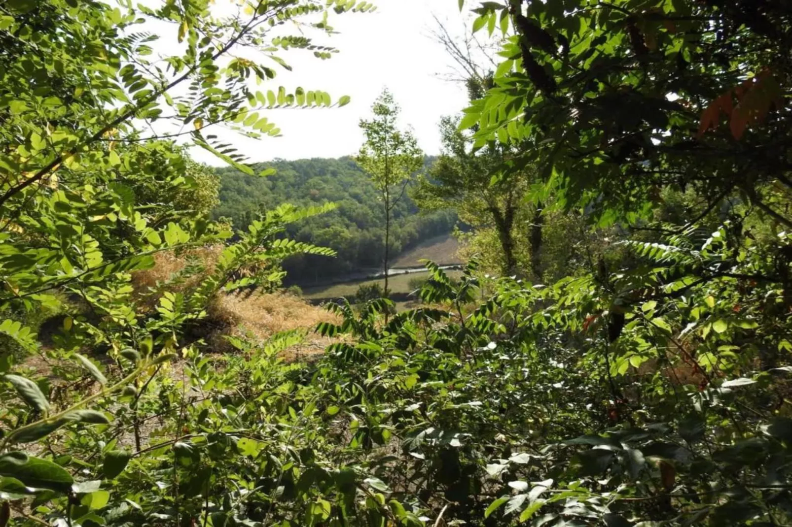 Maison de vacances Besse les Vitarelles 4 pers-Gebieden zomer 20km