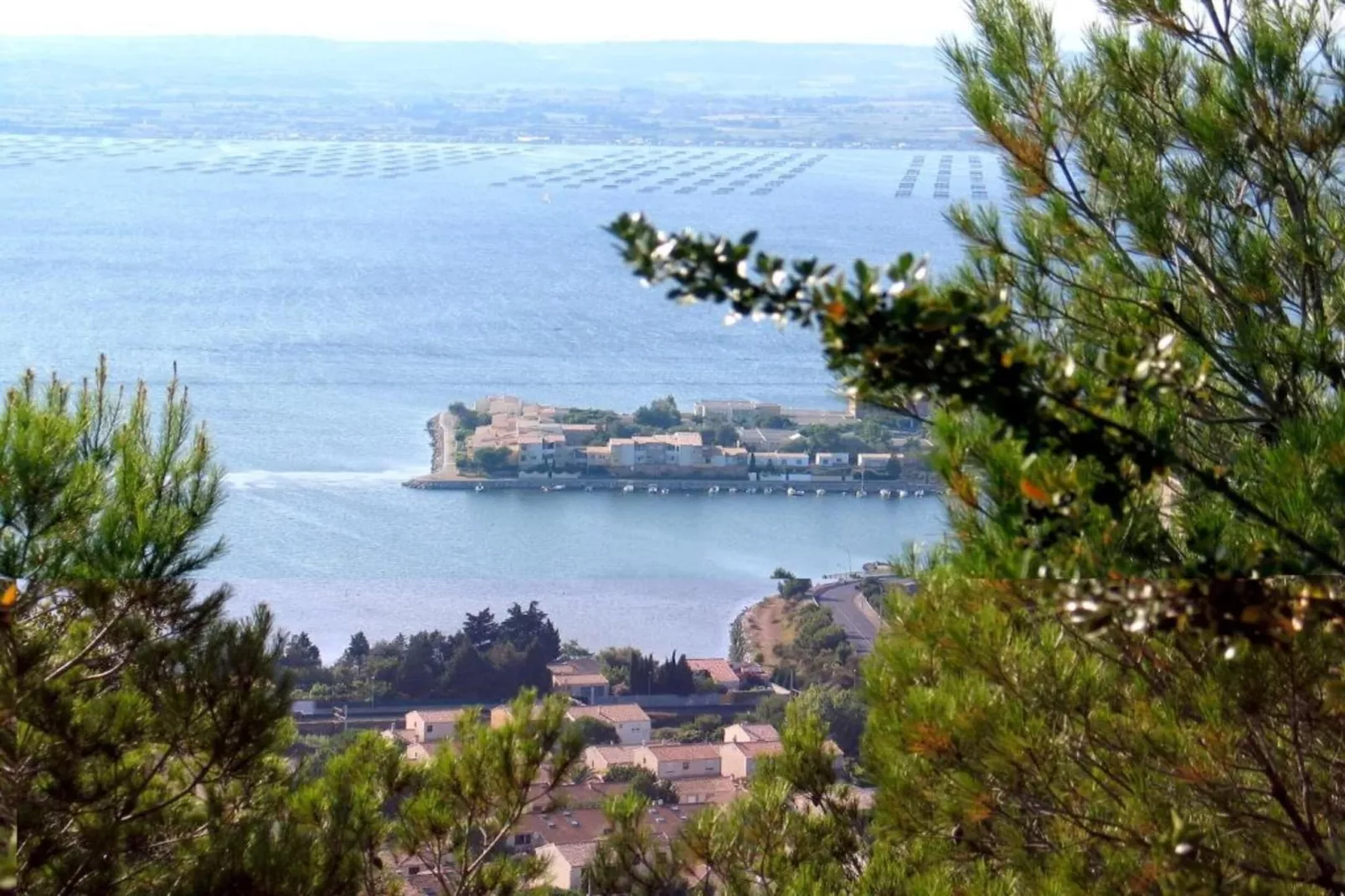 Club Saint Loup 1-Gebieden zomer 20km
