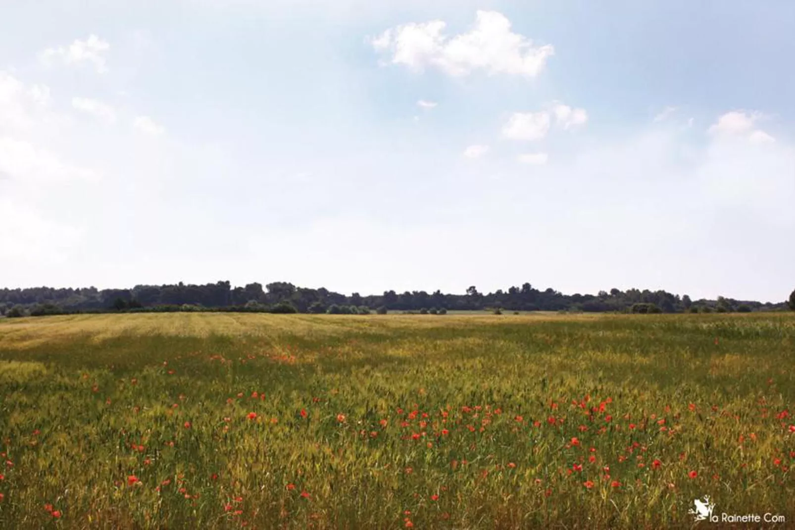 Le Domaine d'Enserune 3-Gebieden zomer 20km