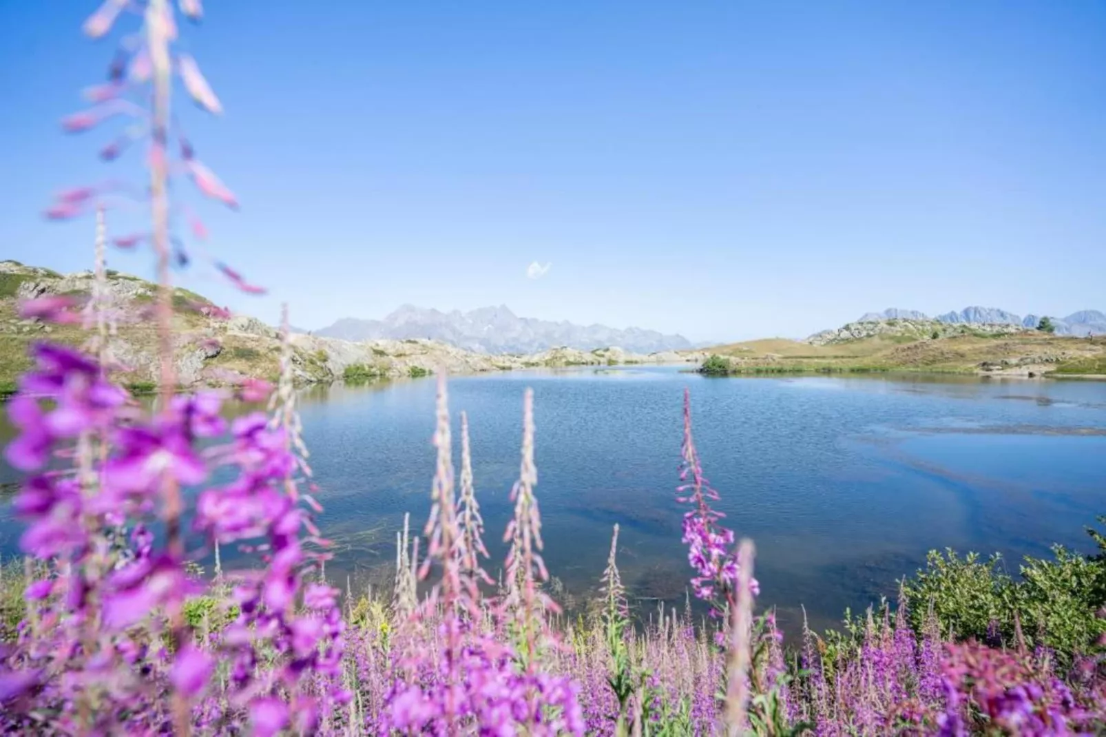Chalet - Oz-en-Oisans-Gebieden zomer 20km
