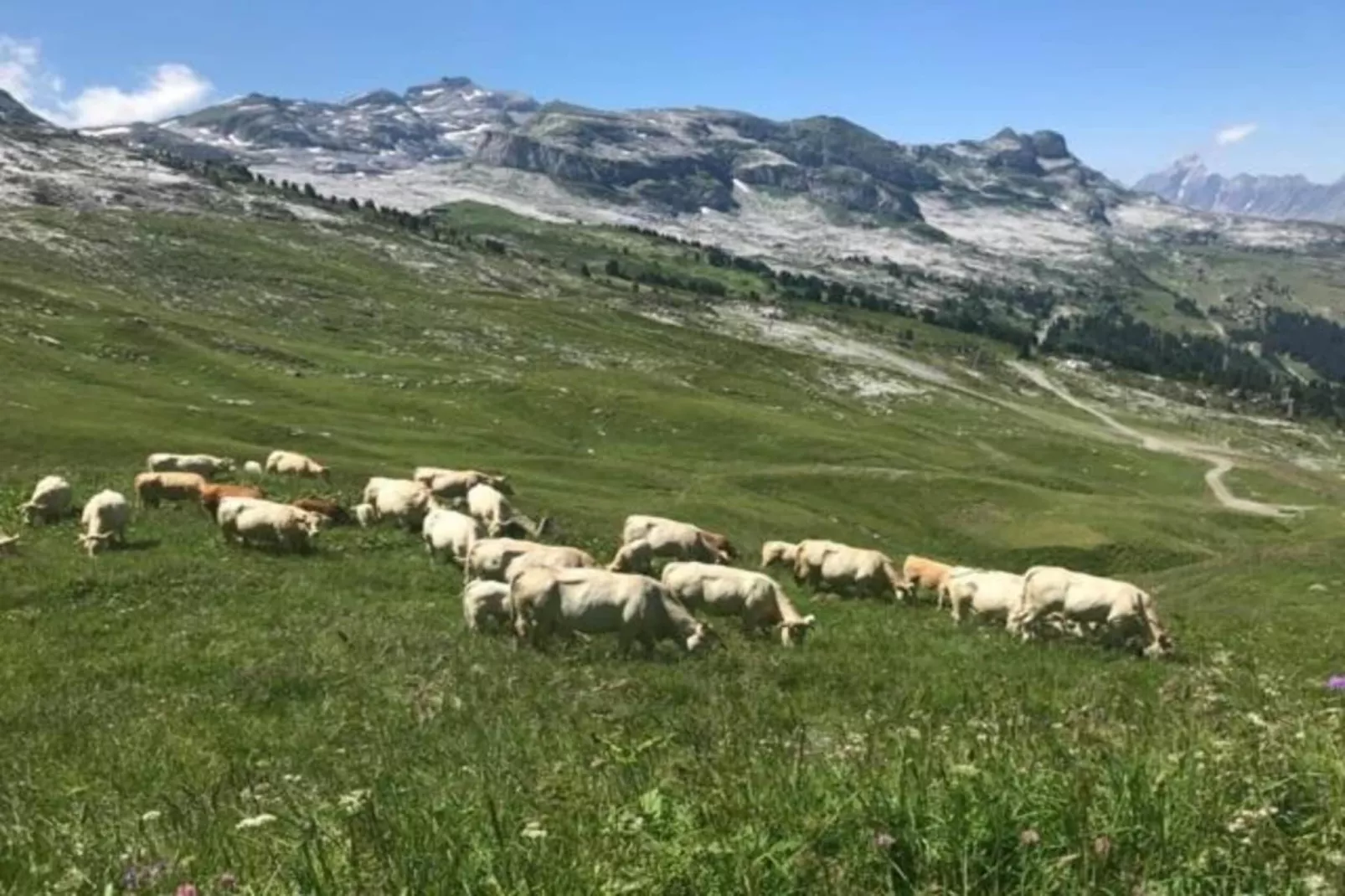 Les Portes du Grand Massif 8-Gebieden zomer 5km