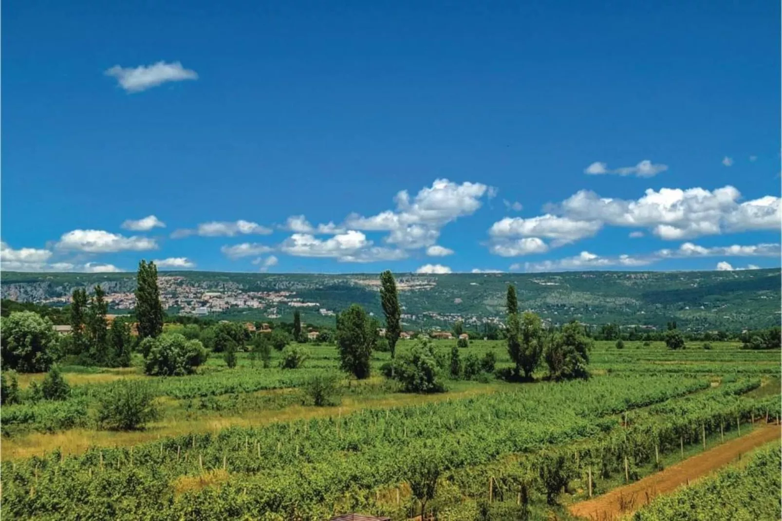 Apartman Milas 3-Gebieden zomer 5km