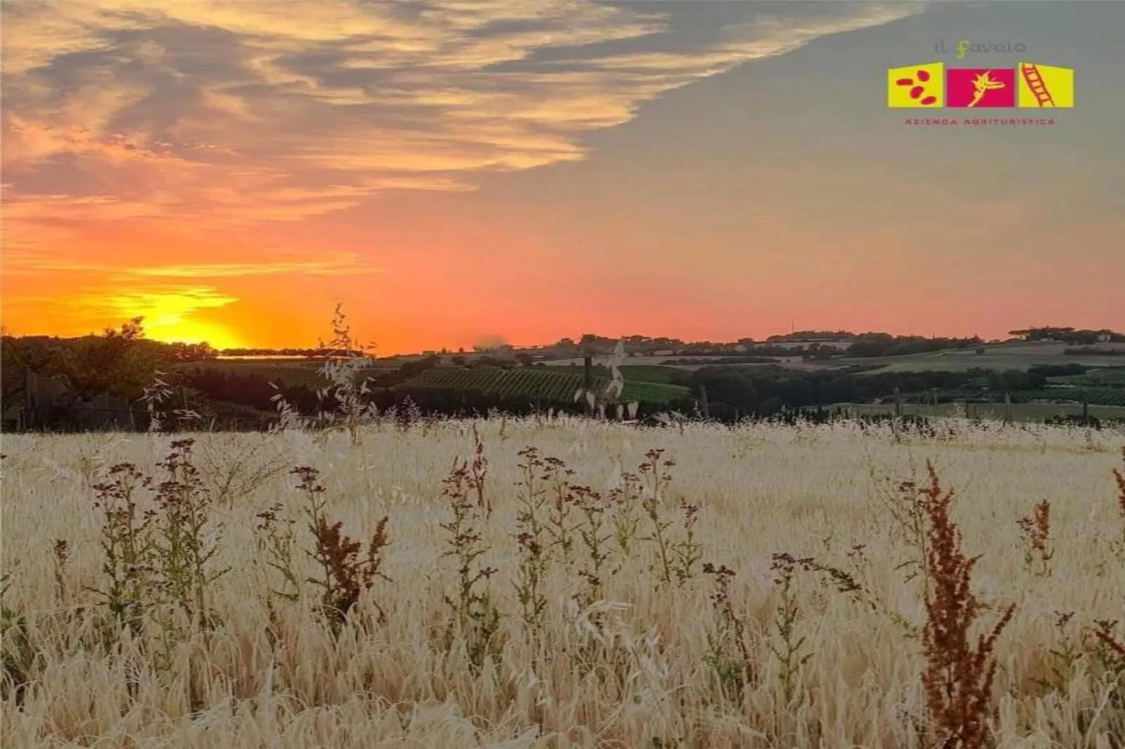 Luna Chiara-Gebieden zomer 20km