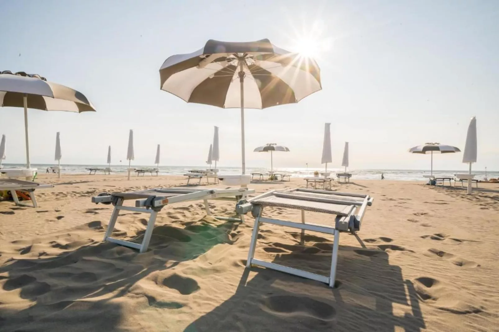 Federica 10/5-Gebieden zomer 1km