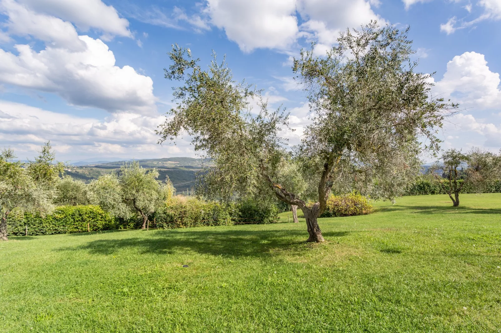 Il Querceto Prima-Tuinen zomer