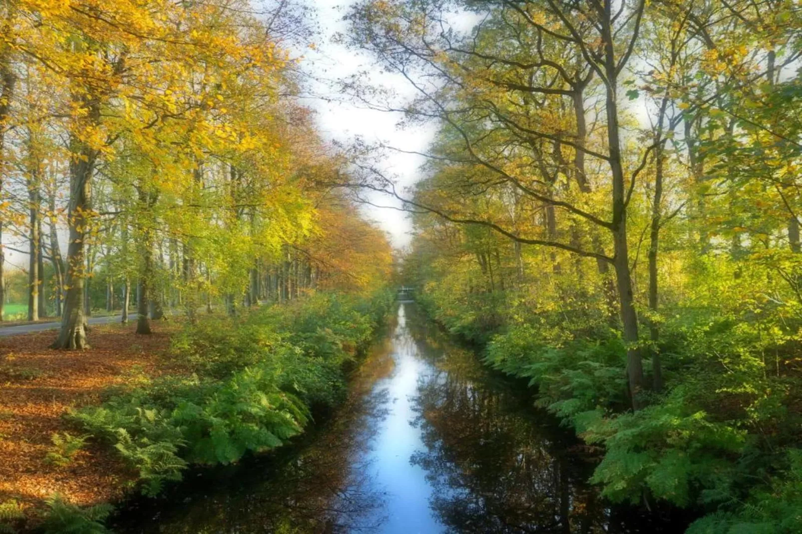 Knus chalet in Friesland met hottub-Gebieden zomer 20km