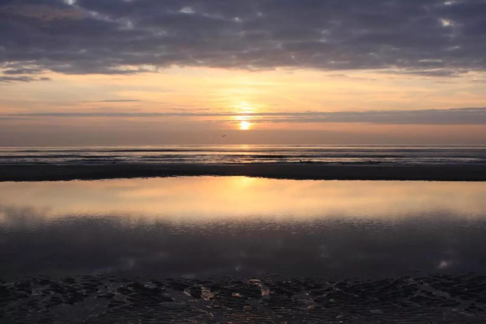 Residentie Californië 8-Gebieden zomer 20km