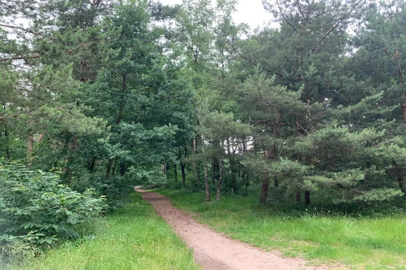 De Veluwse Hoevegaerde 7-Gebieden zomer 5km