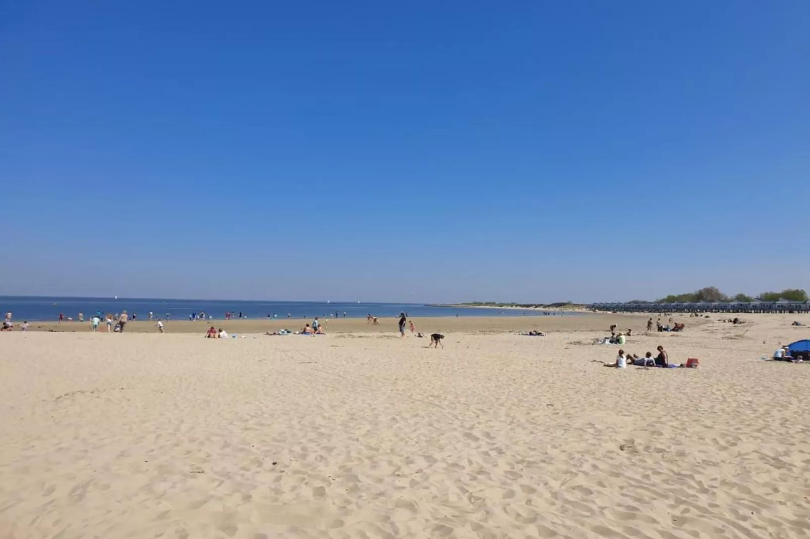 De Zeeuwse Schuur - comfort 4 personen 1 huisdier-Gebieden zomer 20km