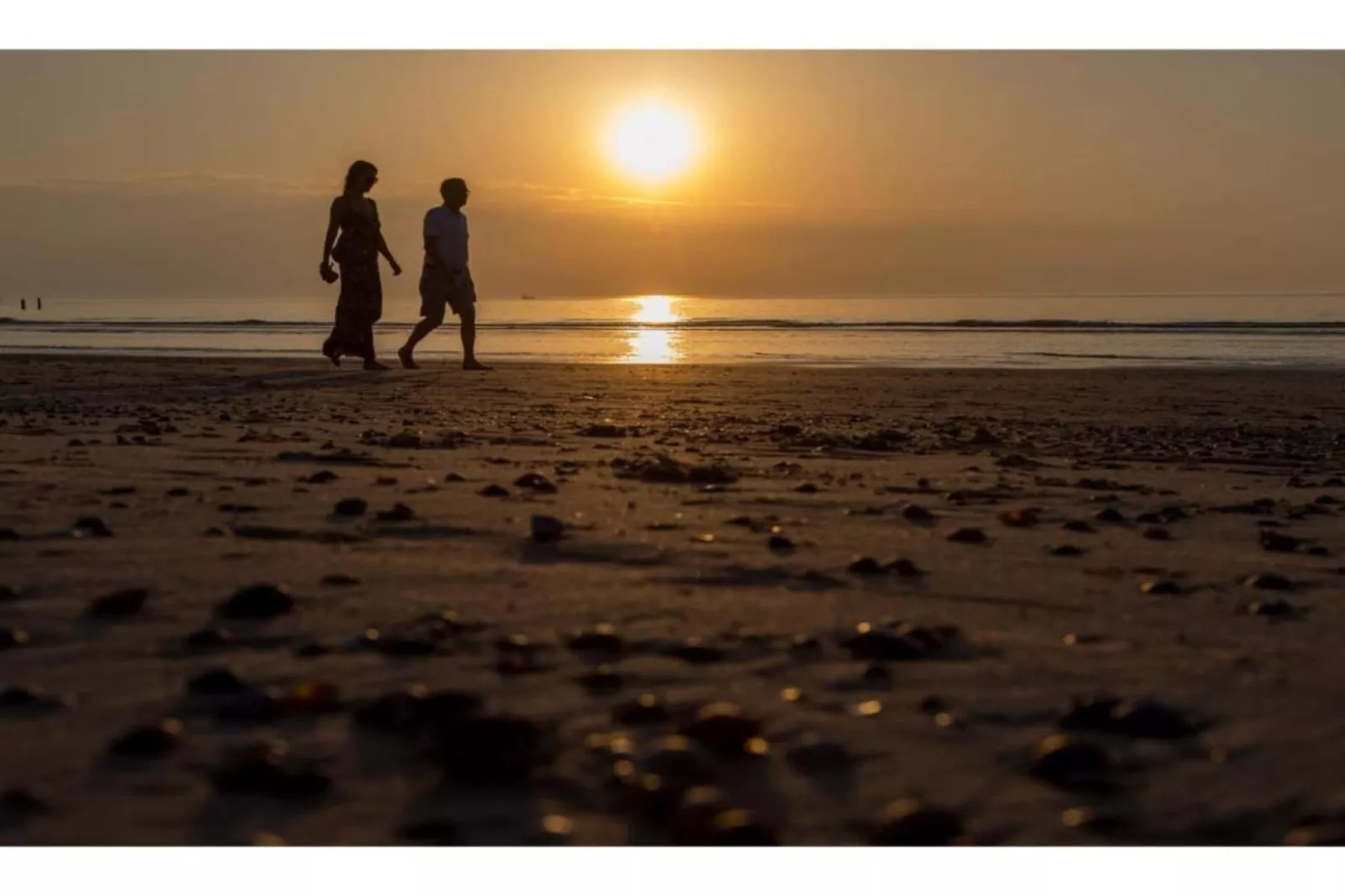 Vakantiepark Hof Domburg 24-Gebieden zomer 20km