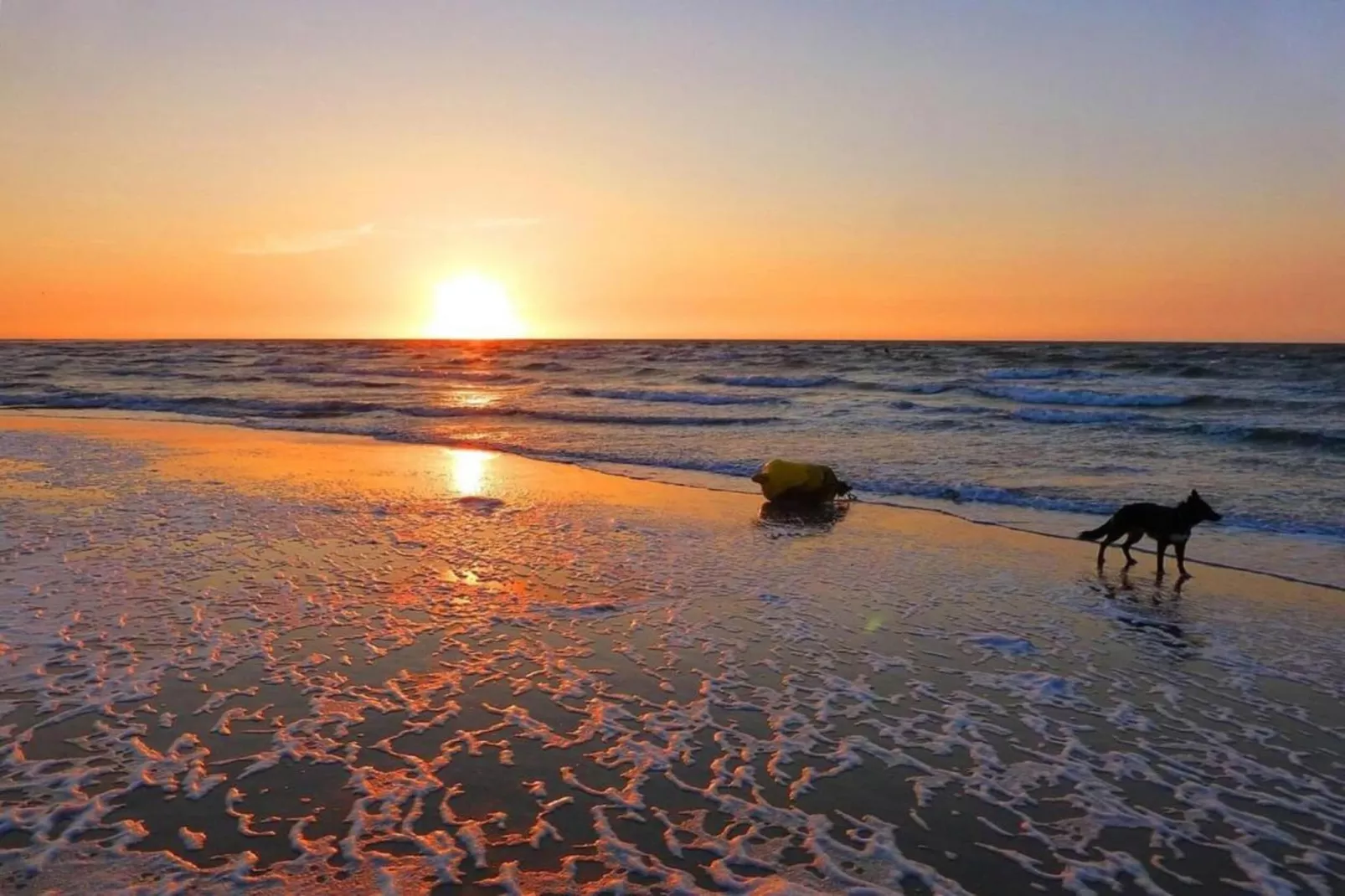 Roompot Beach Resort 5-Gebieden zomer 20km