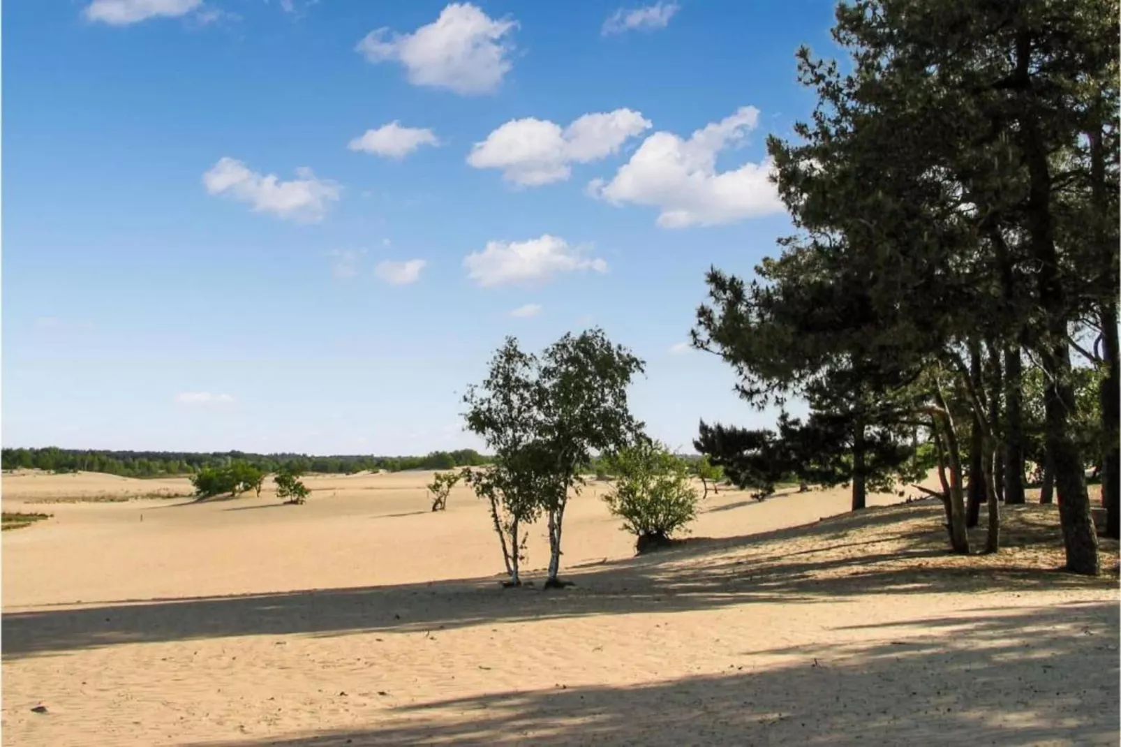Recreatiepark Duinhoeve 9-Gebieden zomer 20km