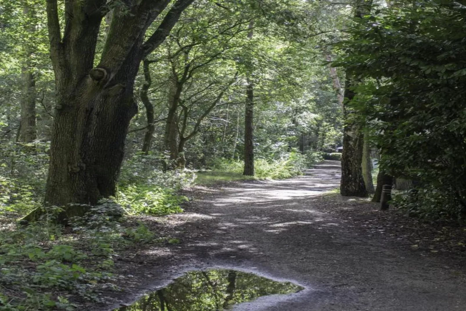 Vakantiepark Latour 2-Gebieden zomer 20km