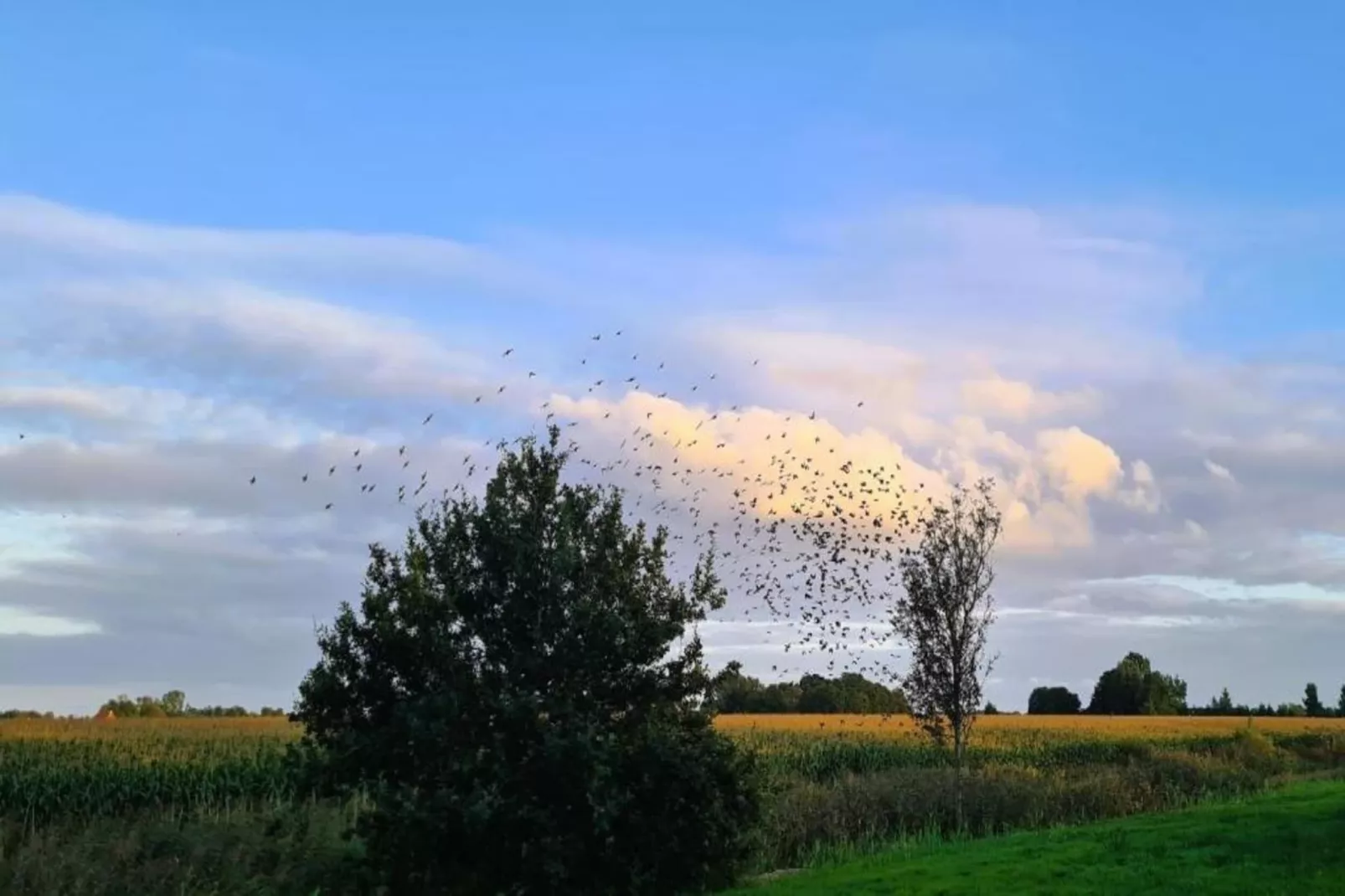 Chalet Jildau-Gebieden zomer 20km