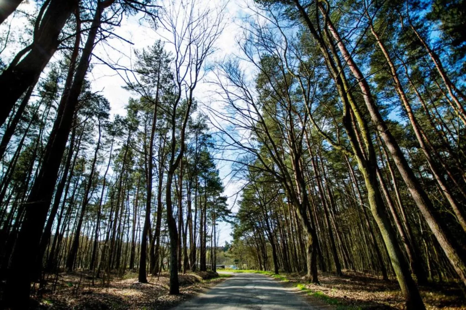 Willa Karwieńskie Błoto Drugie-Gebieden zomer 20km