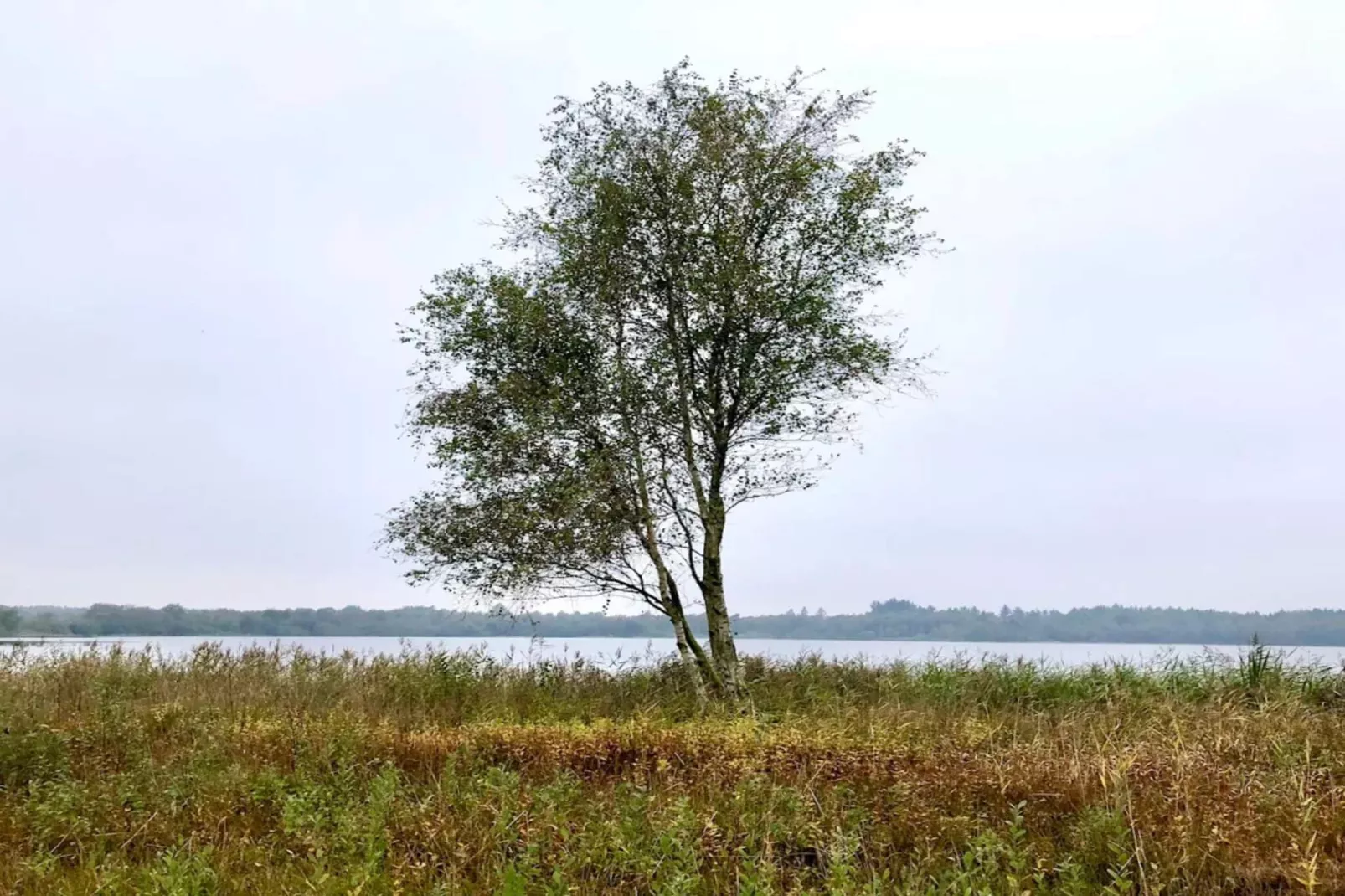 5 persoons vakantie huis in Ansager-By Traum-Waterzicht