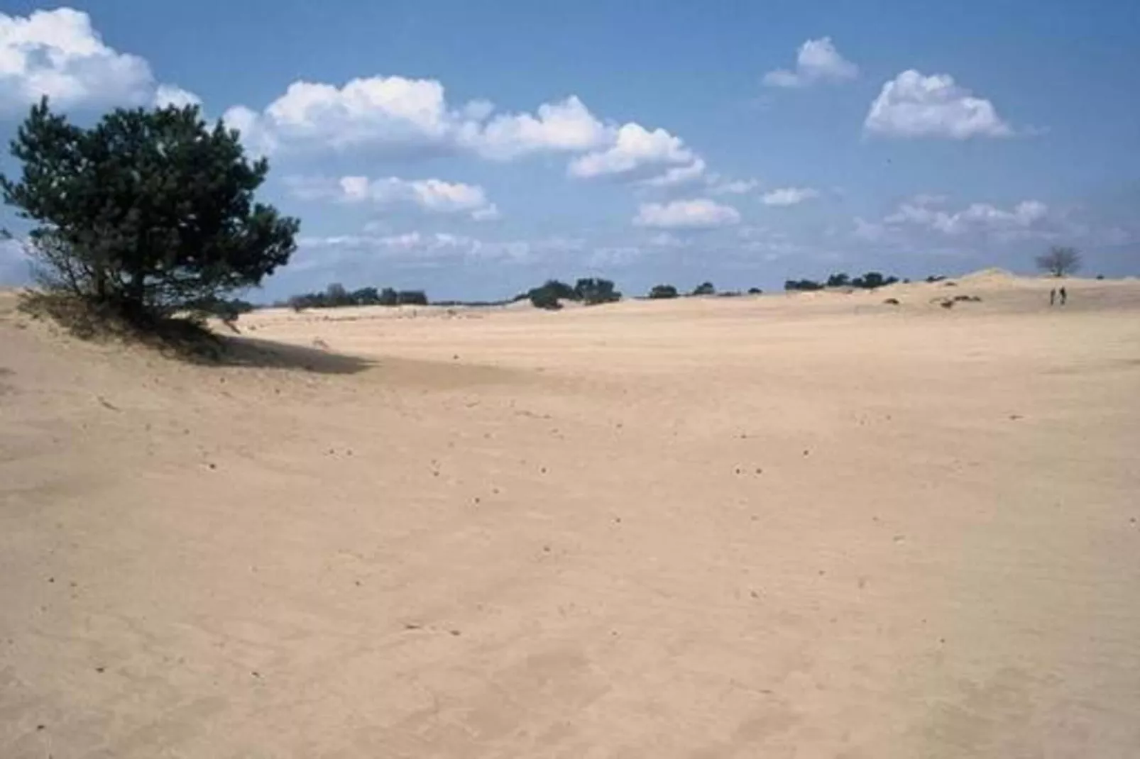 Villa Zonnewijzer-Gebieden zomer 20km