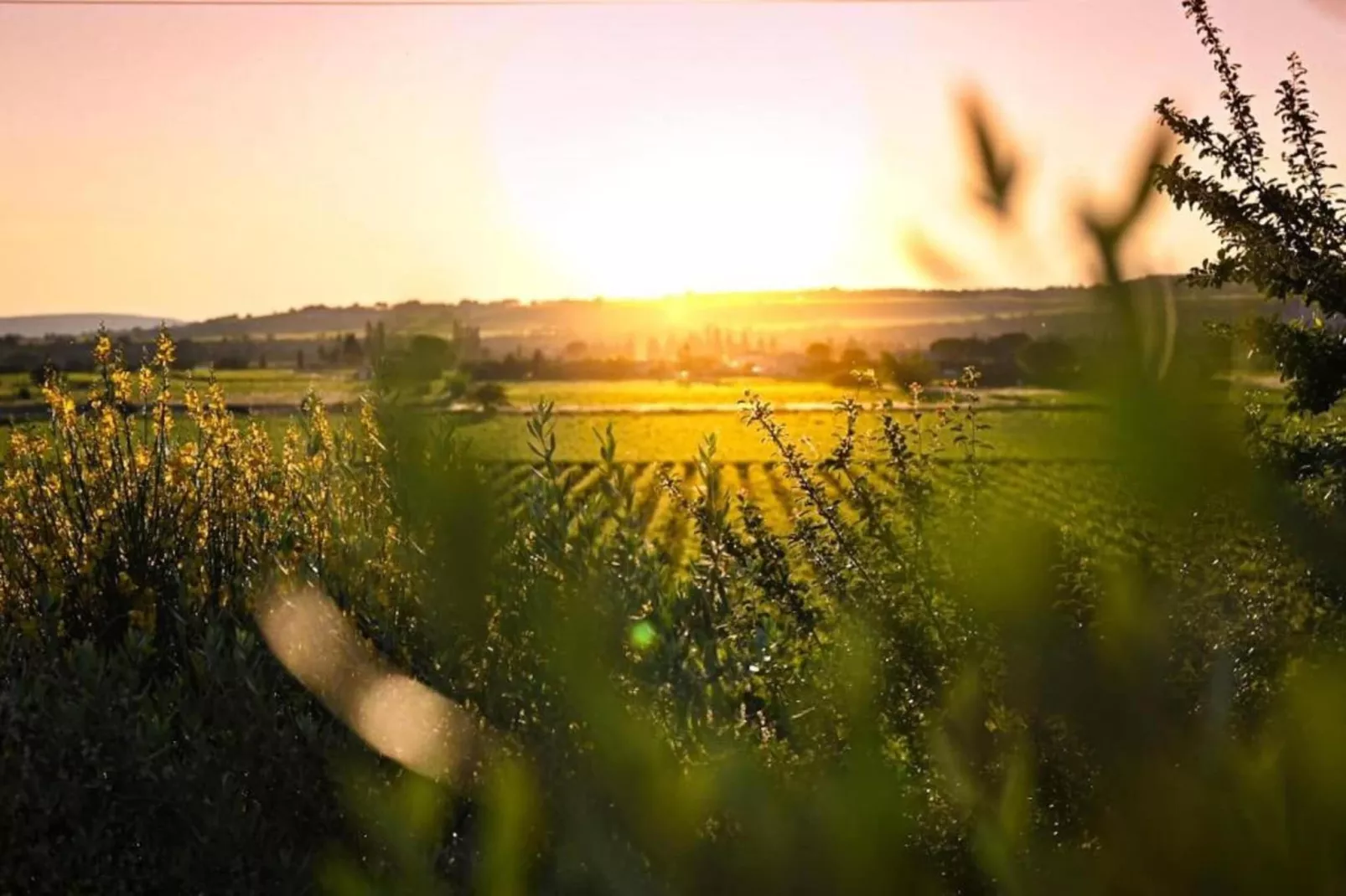 La Queue du Loup-Gebieden zomer 20km