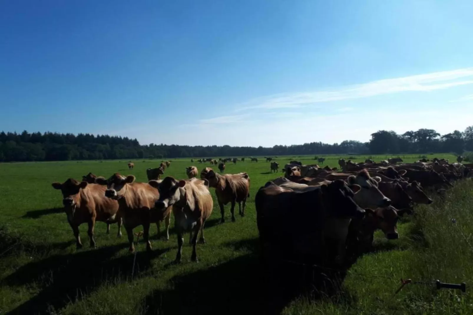 Buitenplaats Gerner 7-Gebieden zomer 20km