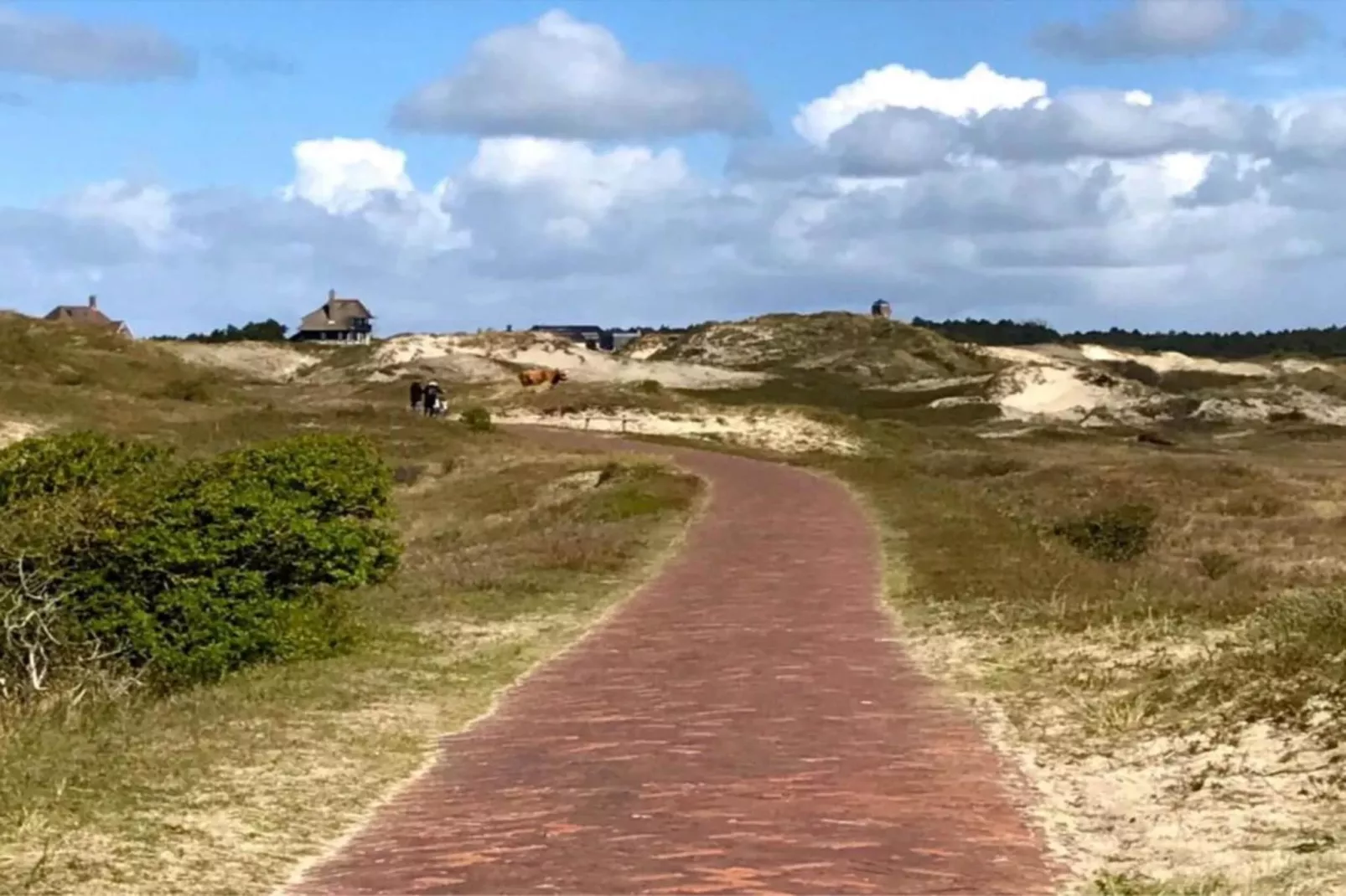 Fancy-Gebieden zomer 20km