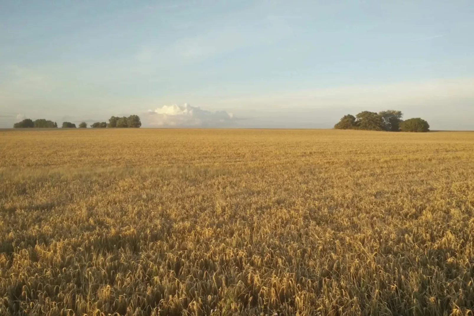 4 persoons vakantie huis in Gedser-By Traum-Niet-getagd