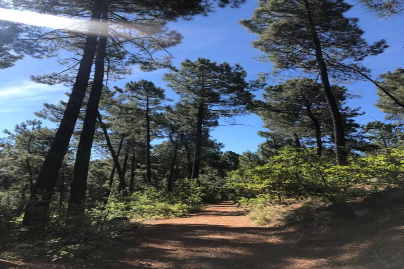 LA BOSCALIERE/ CHABROUD-Gebieden zomer 20km