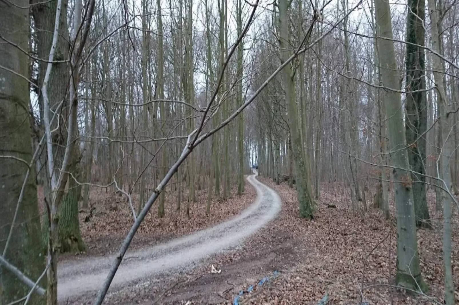4 persoons vakantie huis in Væggerløse-By Traum-Buitenlucht