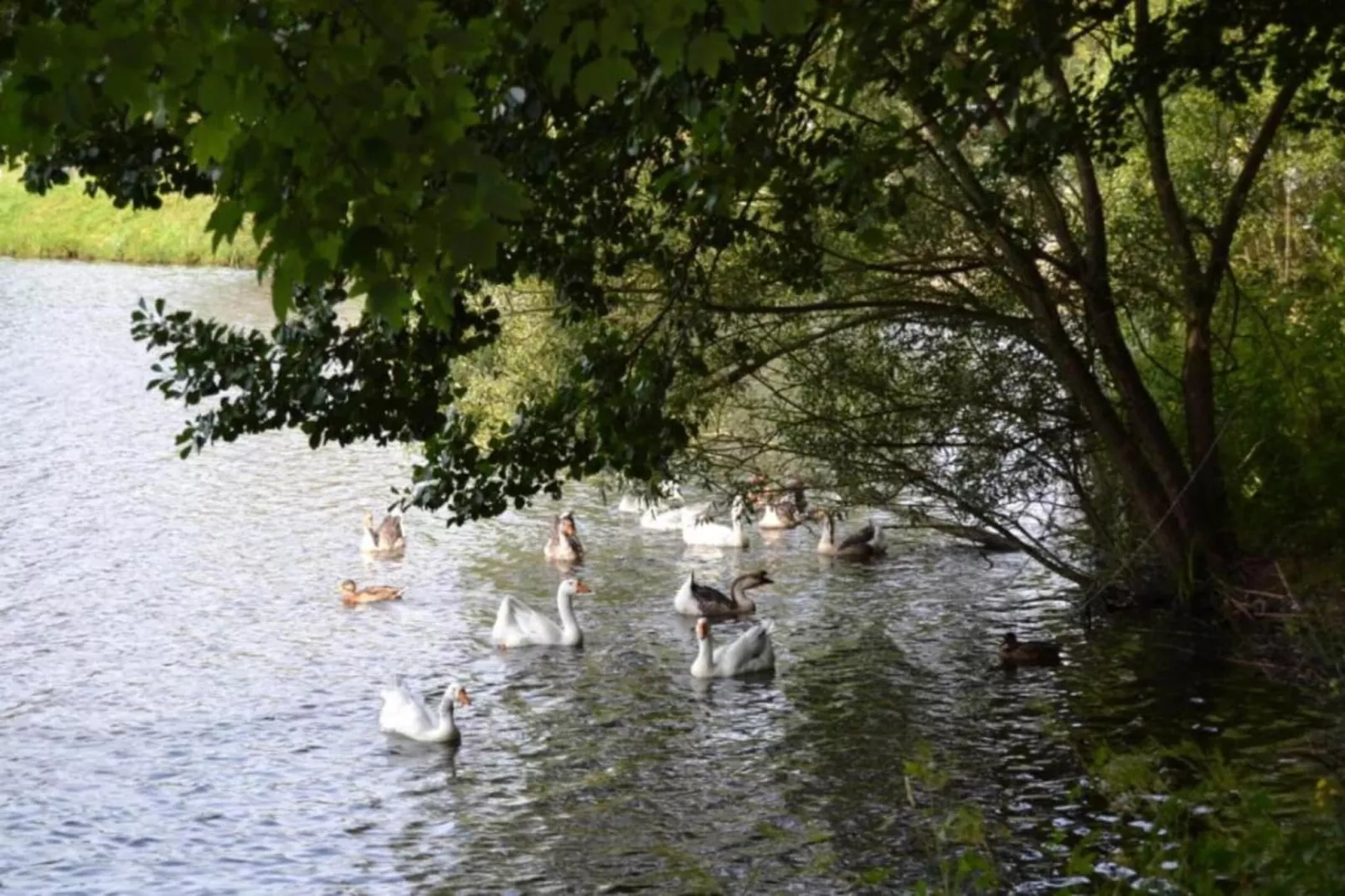 Les Doyards 1-Gebieden zomer 20km