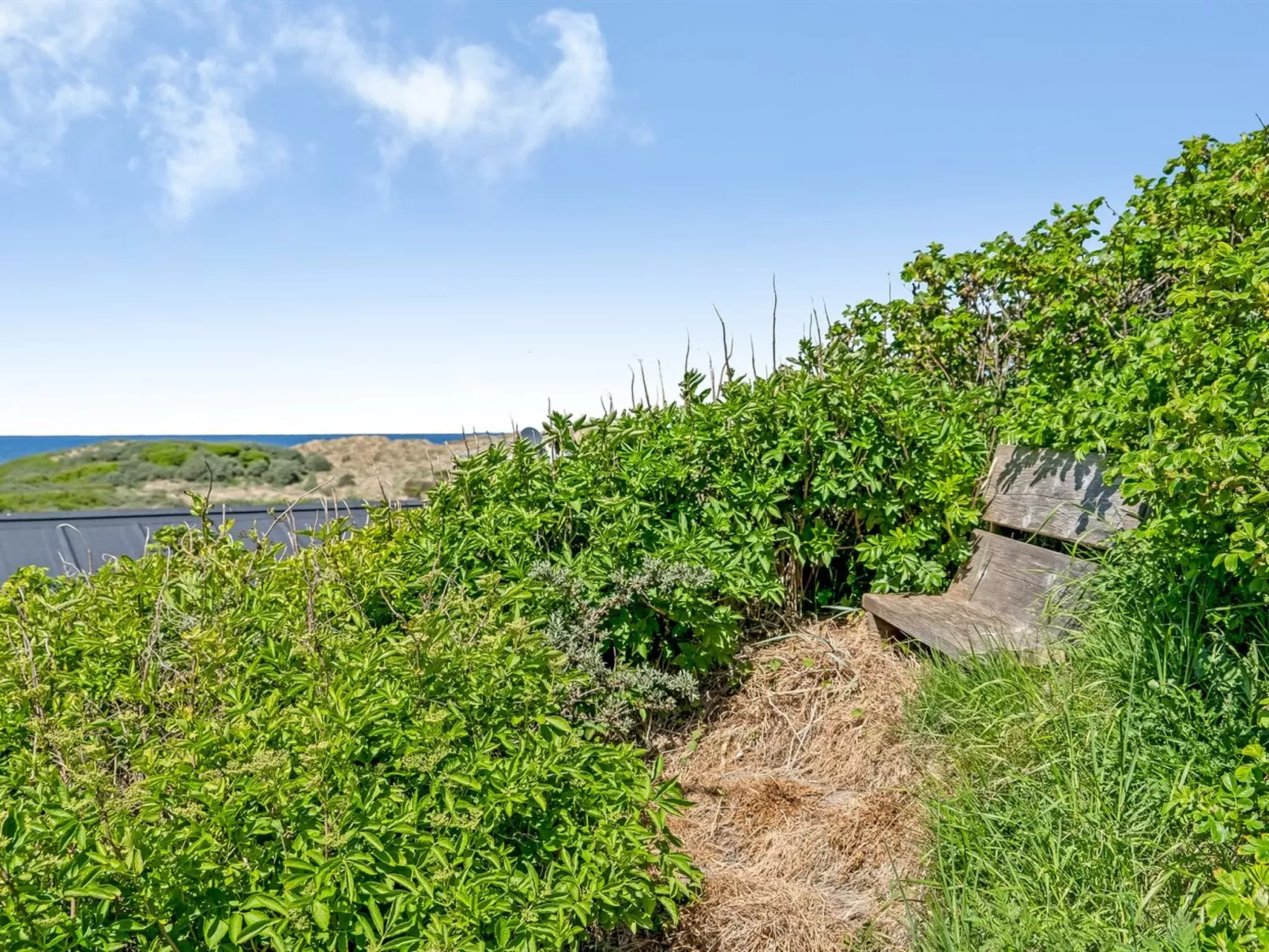 "Mielikki" - 200m from the sea-Buiten