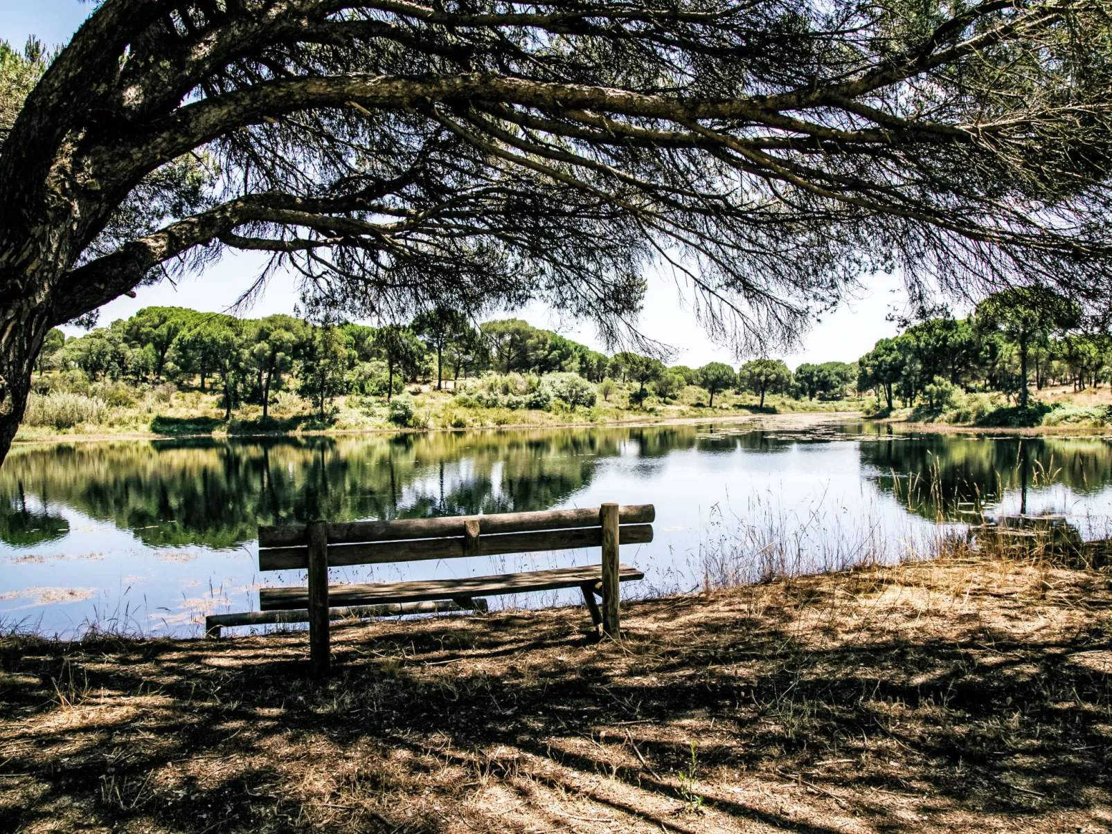 Quinta de Santa Emilia 2-Omgeving