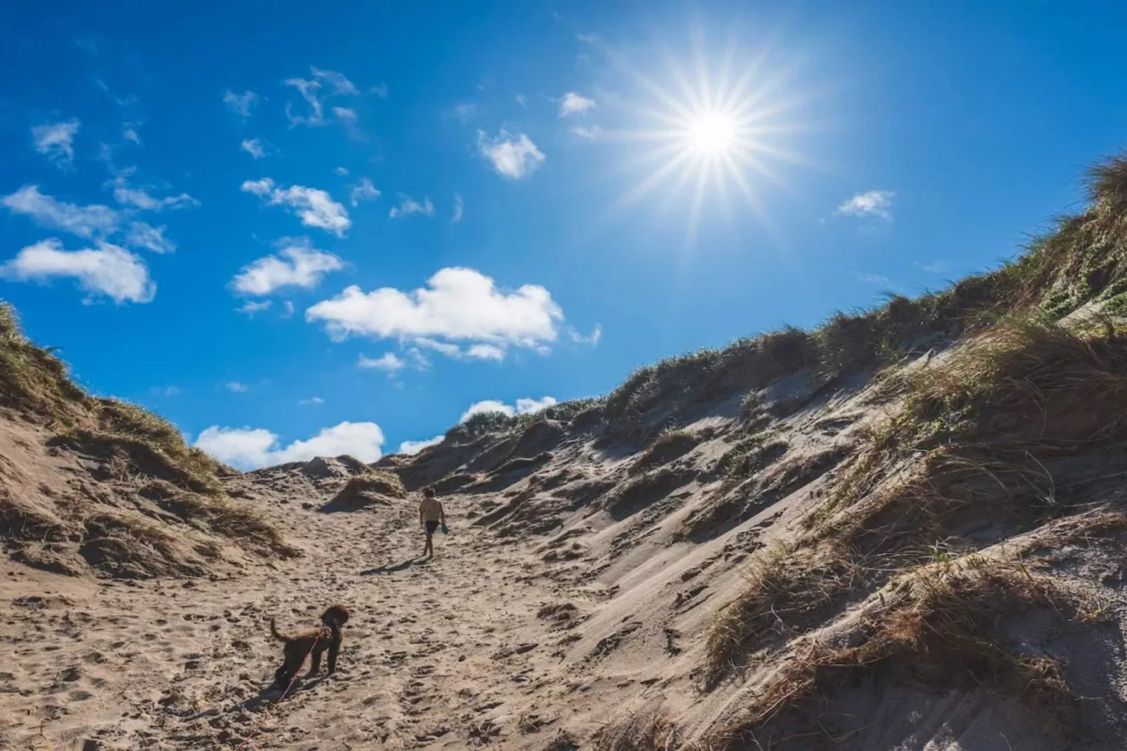 6 persoons vakantie huis in Hvide Sande-By Traum-Niet-getagd