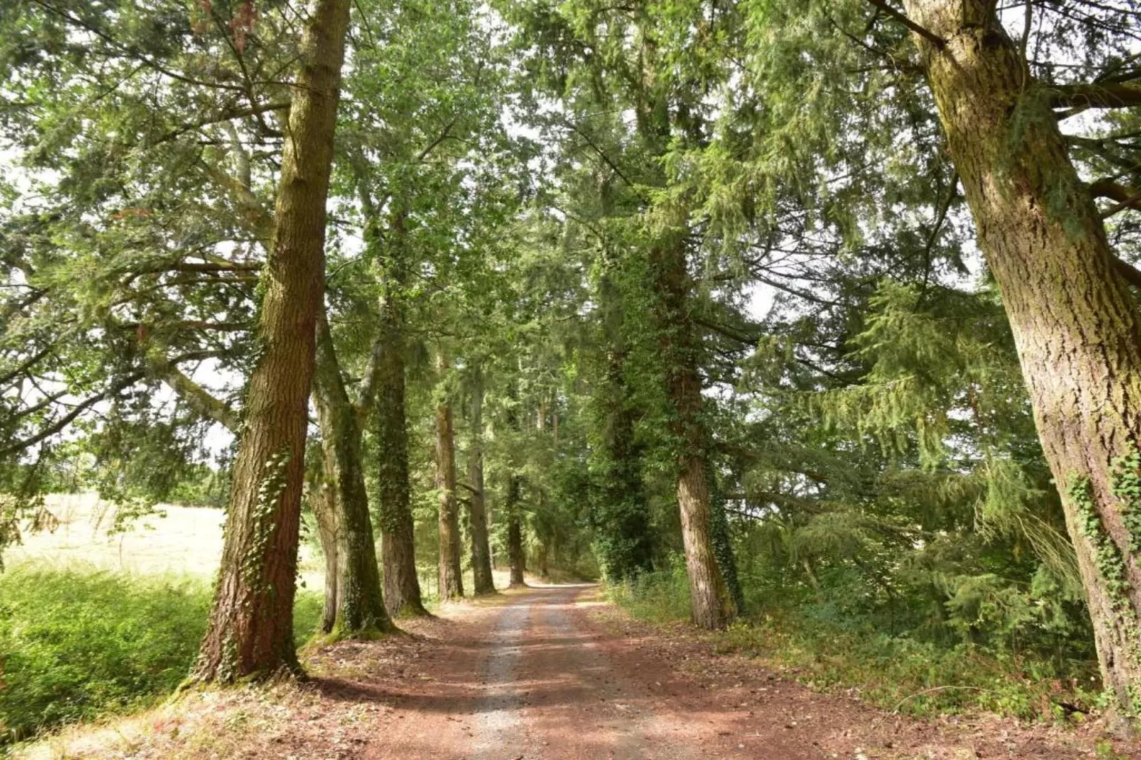 Apt Catharina 3 pers piscine partagée-Gebieden zomer 20km