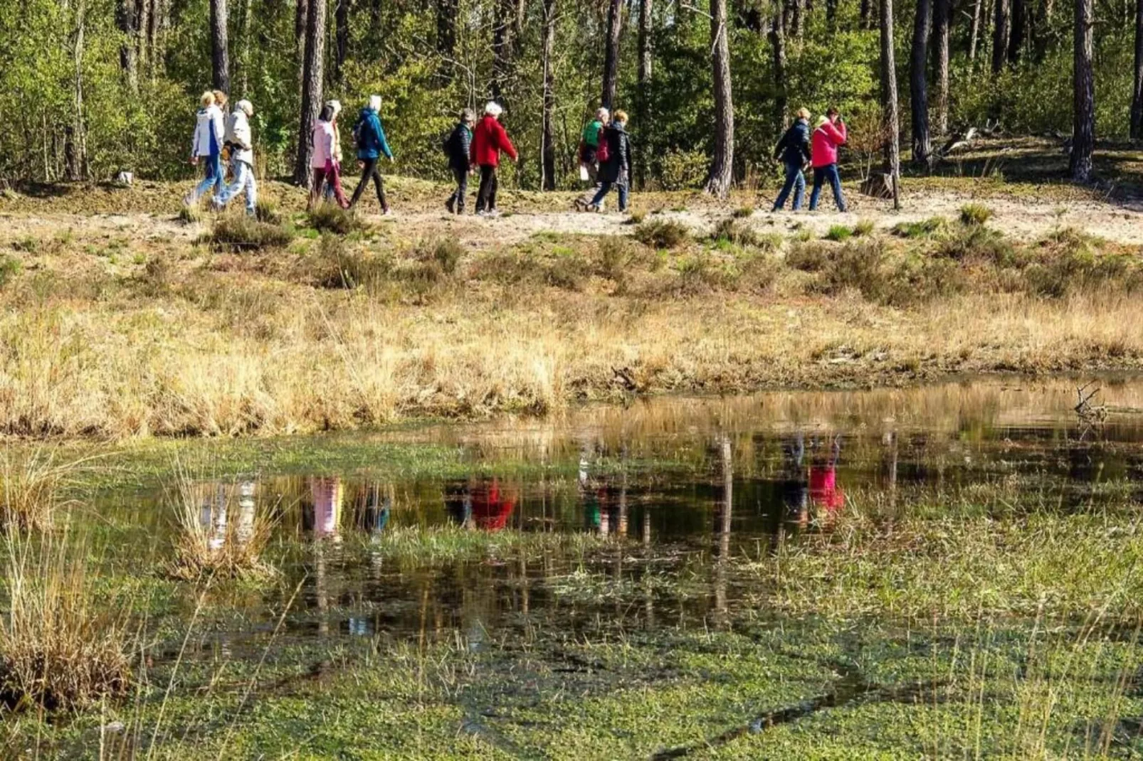 Vakantiepark Latour 8-Gebieden zomer 20km