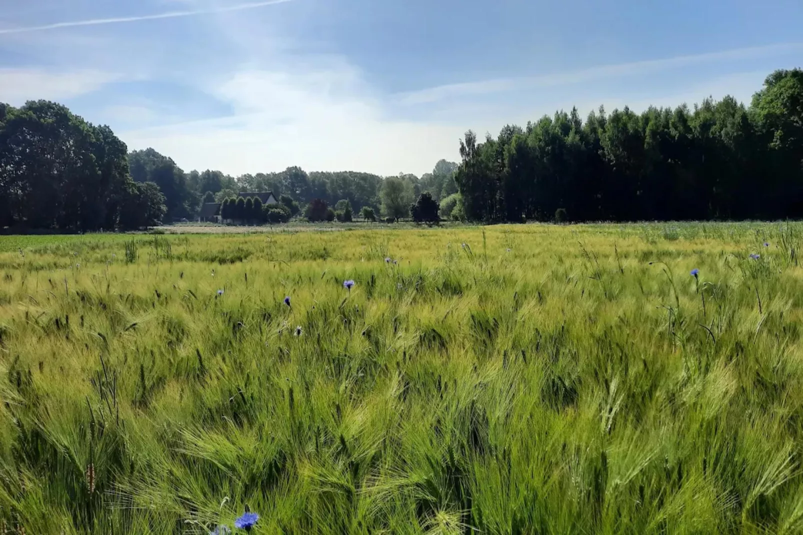 Schöne Ferienwohnung in Bissendorf nähe Osnabrück-Gebieden zomer 1km