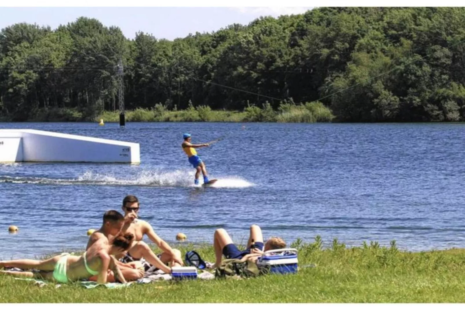 Dwergarend 17-19-Gebieden zomer 20km