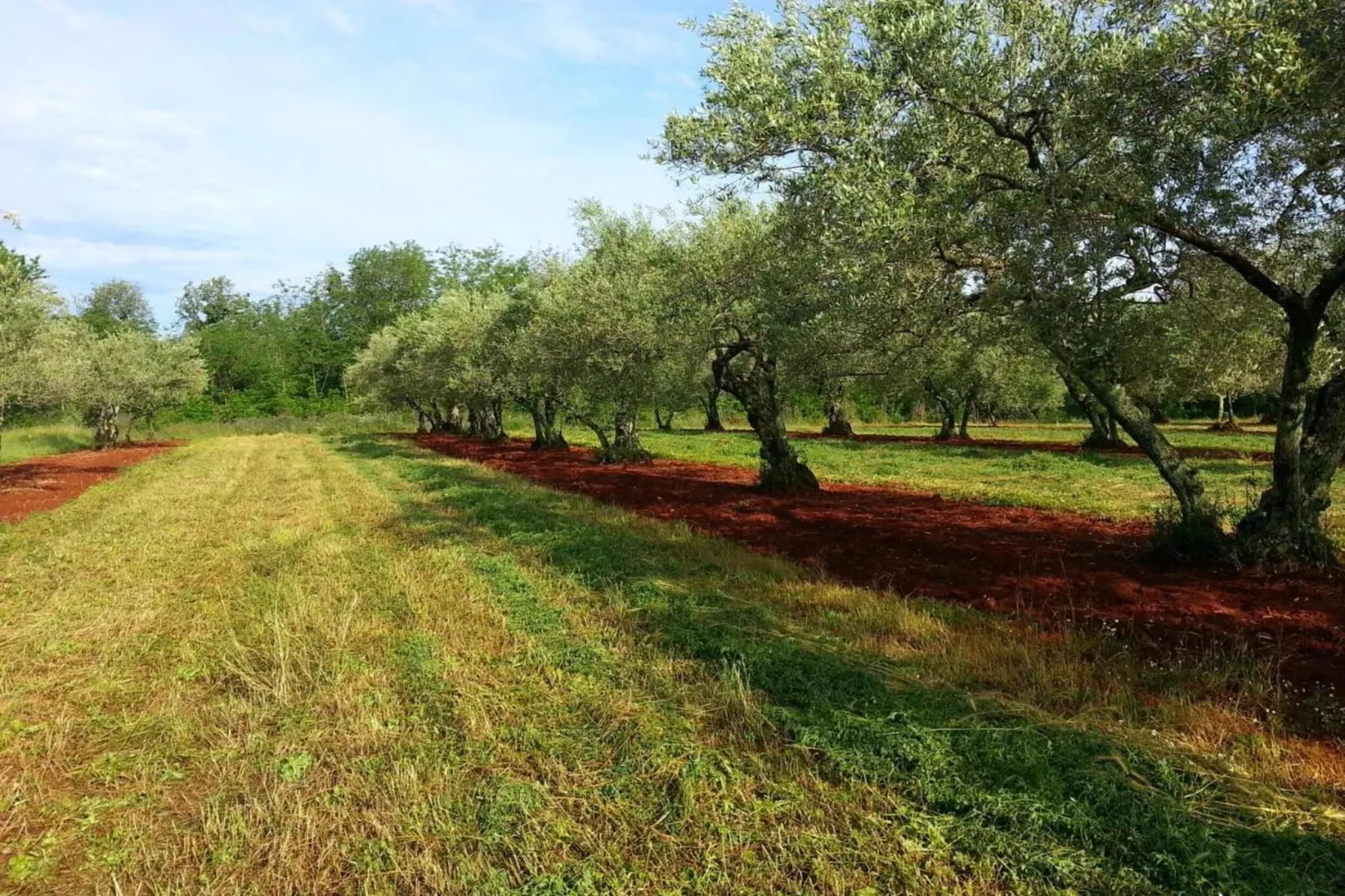 Villa Eternity-Gebieden zomer 20km