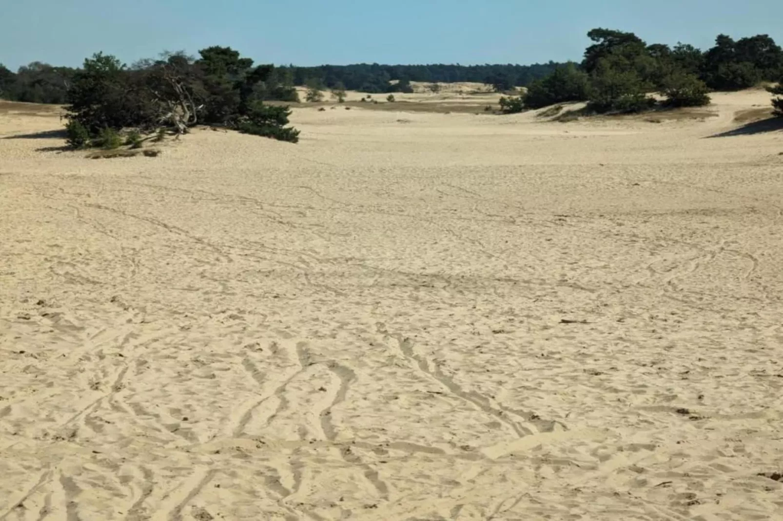 Vakantiewoning het Bakhuis Zeumershof 4 pax-Gebieden zomer 5km