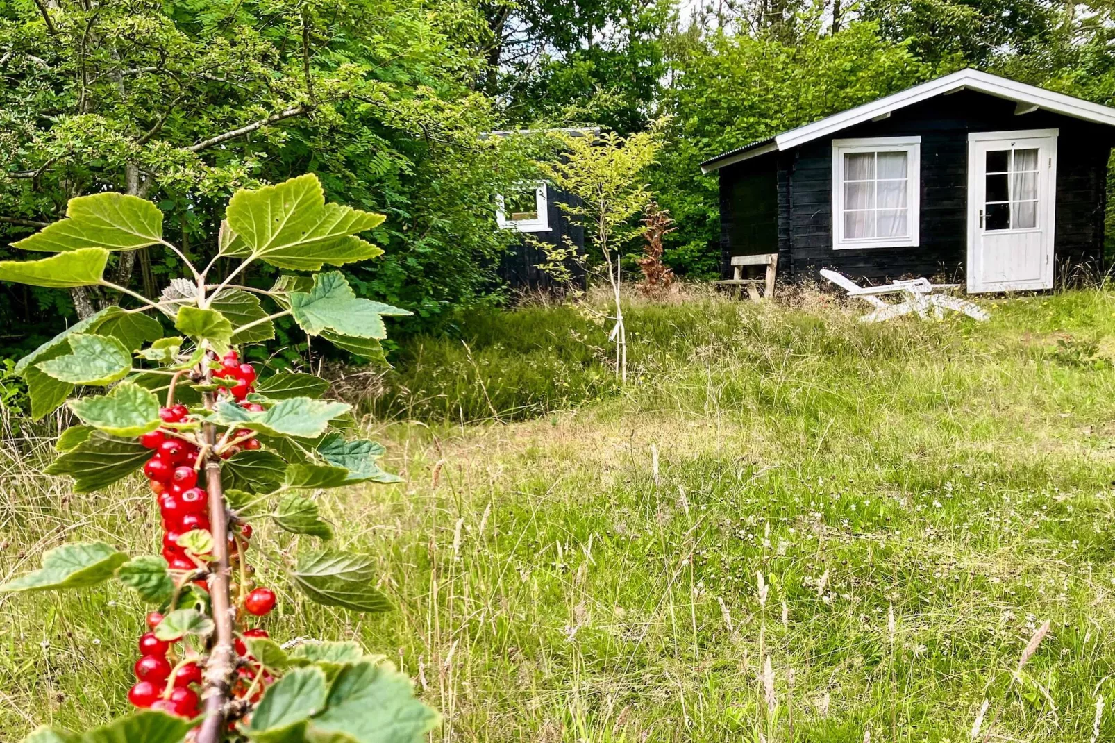 5 persoons vakantie huis in Vesløs-By Traum-Buitenlucht