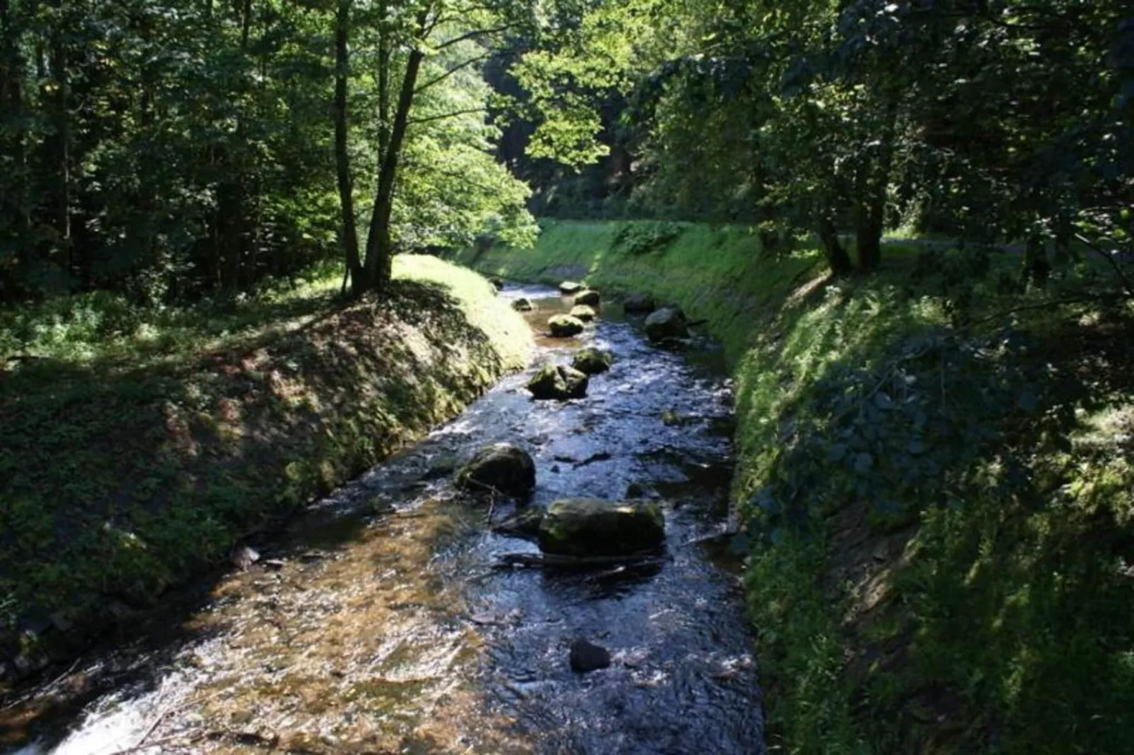 Appartement Eifelsteig-Gebieden zomer 20km