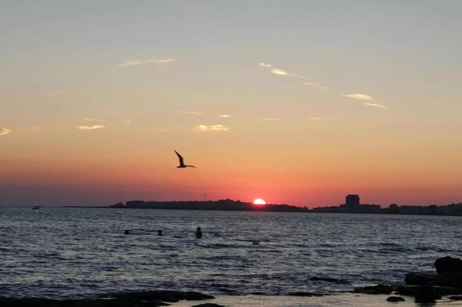 CVG12-Gebieden zomer 20km