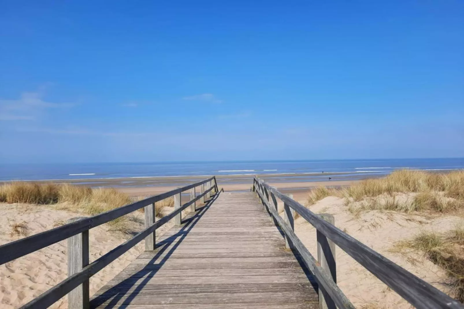 La Caravelle-Gebieden zomer 1km