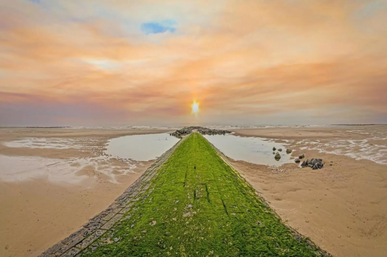 Sorghvliet-Gebieden zomer 20km