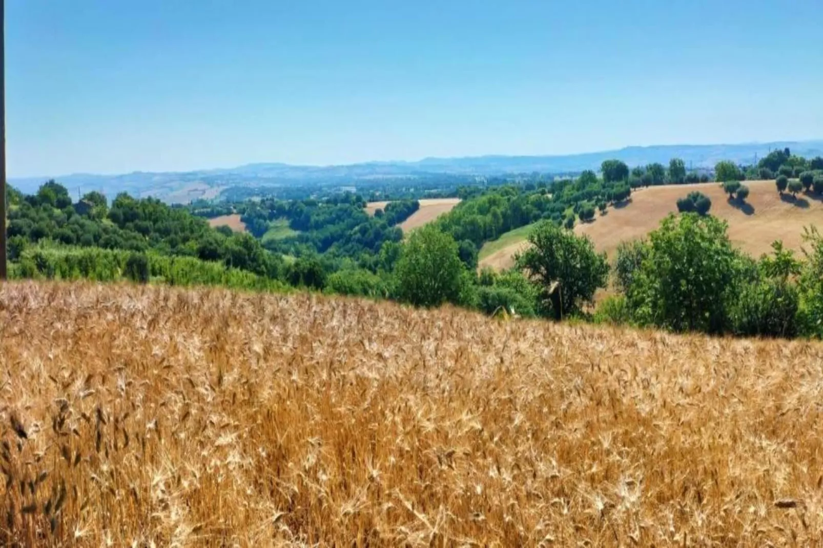 Binnella 18-Gebieden zomer 20km