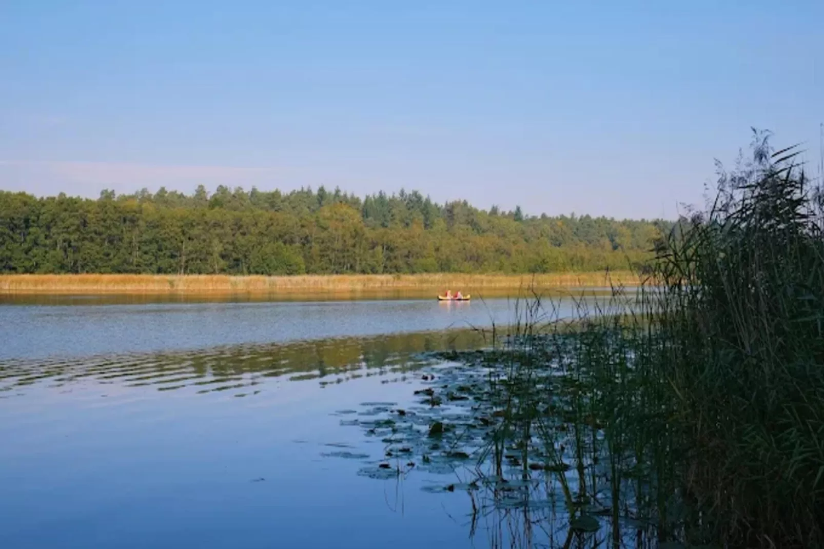 Reiher 18-Gebieden zomer 1km