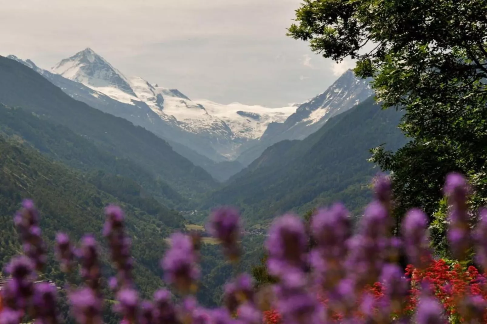 Mayens de l'Ours AZ 032 - MOUNTAIN apartment 6 p-Gebieden zomer 5km