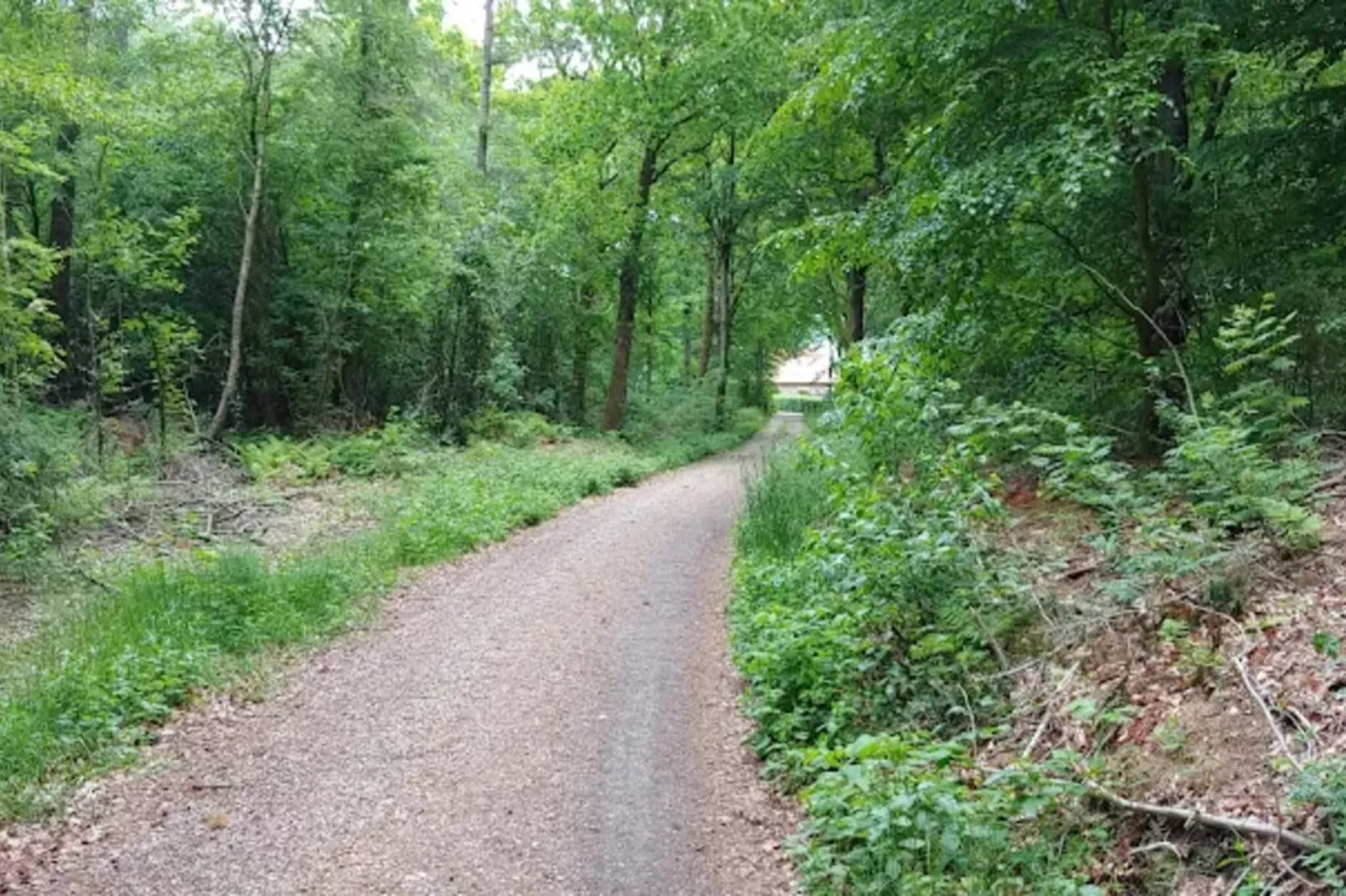 4 persoons vakantie huis in Oksbøl-By Traum-Niet-getagd