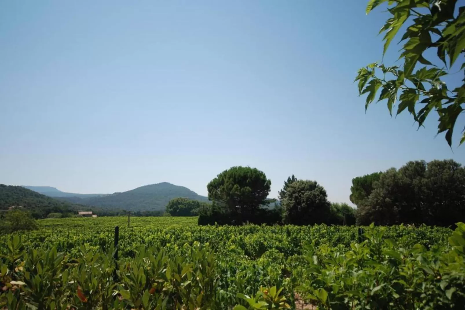 Alana-Gebieden zomer 20km