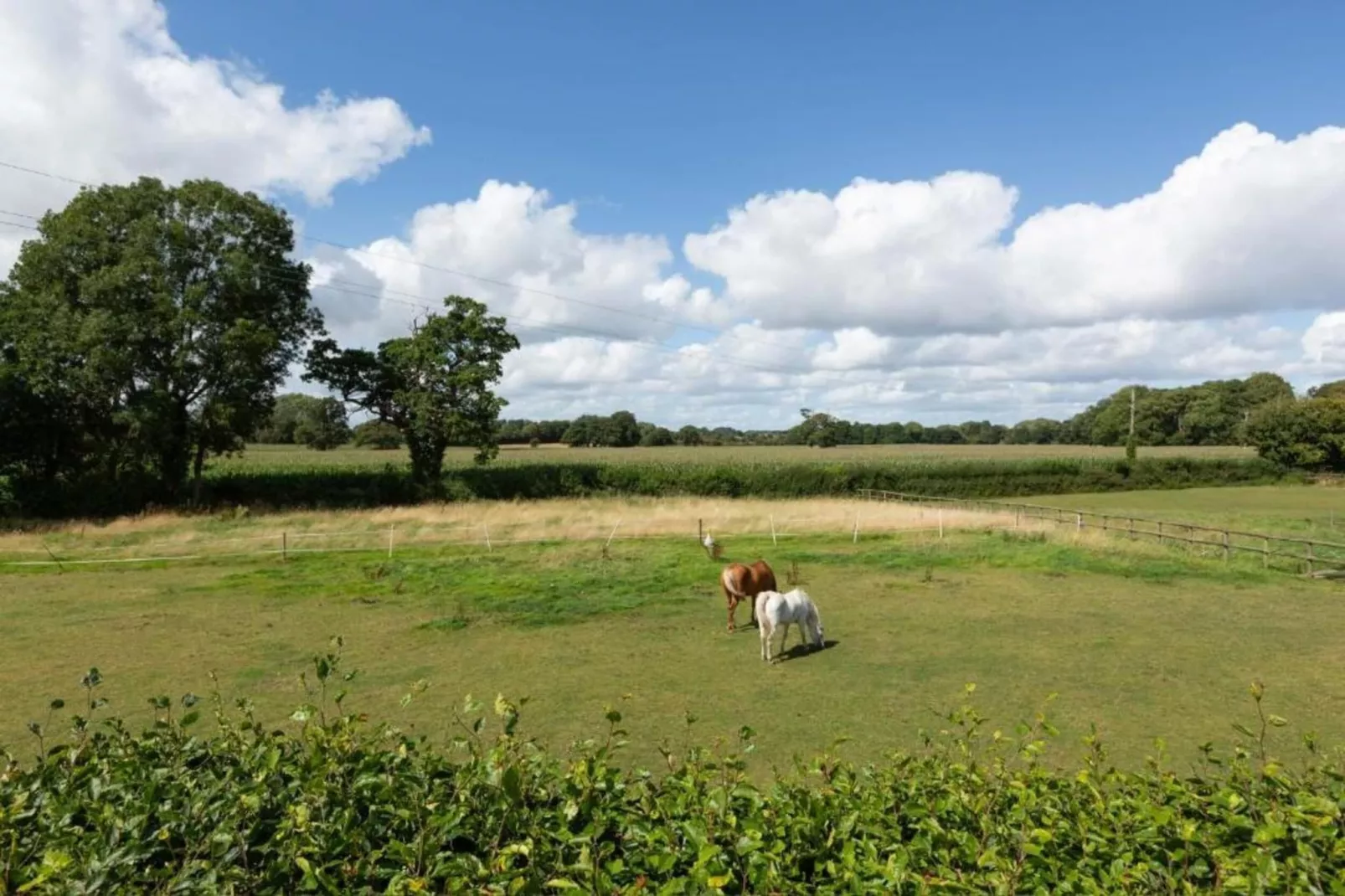 Netley Hall - Lavender-Gebieden zomer 5km